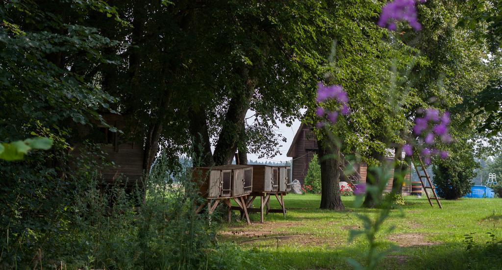 Hotel Viesu Nams Jaunzilaksi Viresi Exteriér fotografie